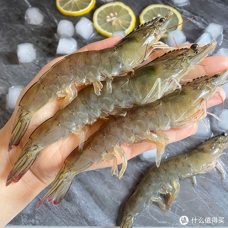 海鲜选购小技巧分享：打造美味海鲜大餐的秘诀