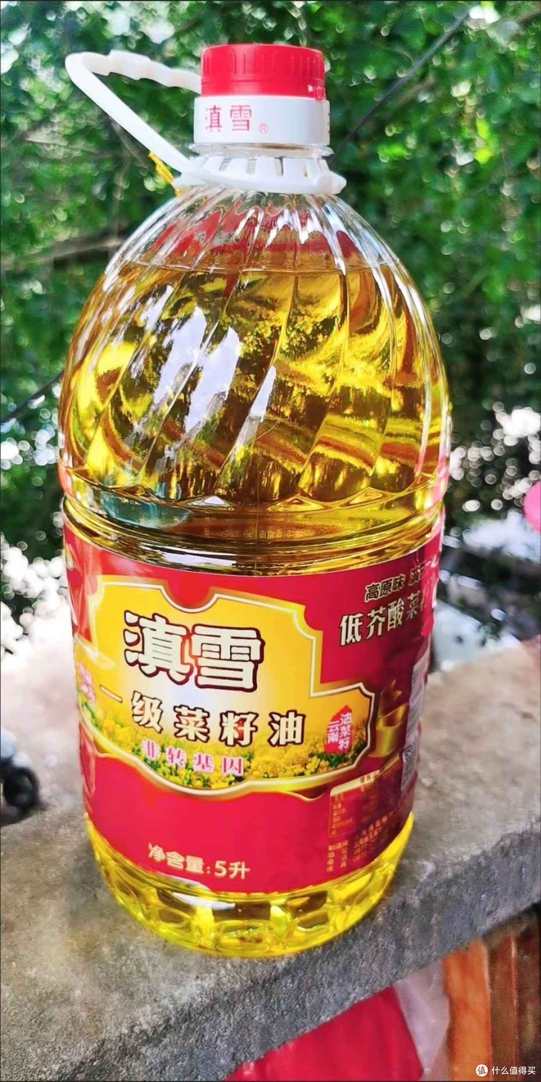 滇雪一级菜籽油5l云南非转基因物理压榨低芥酸食用油纯菜油植物油