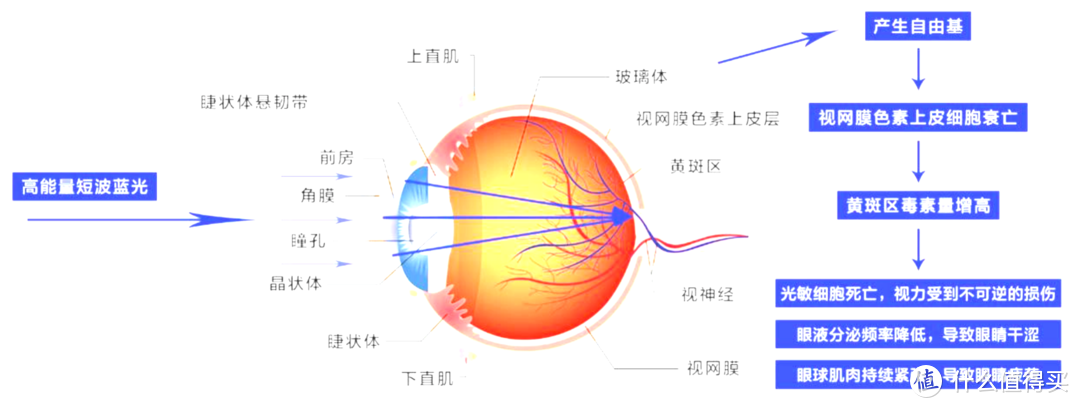 有害蓝光的危害