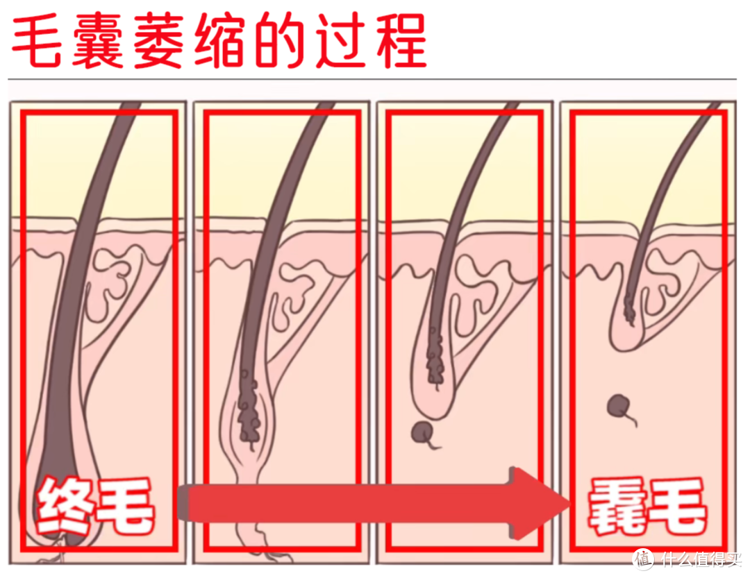 青丝出走，痛定思痛。丸子呕心沥血整理出10款防脱育发产品，一起瞅瞅哪家强！