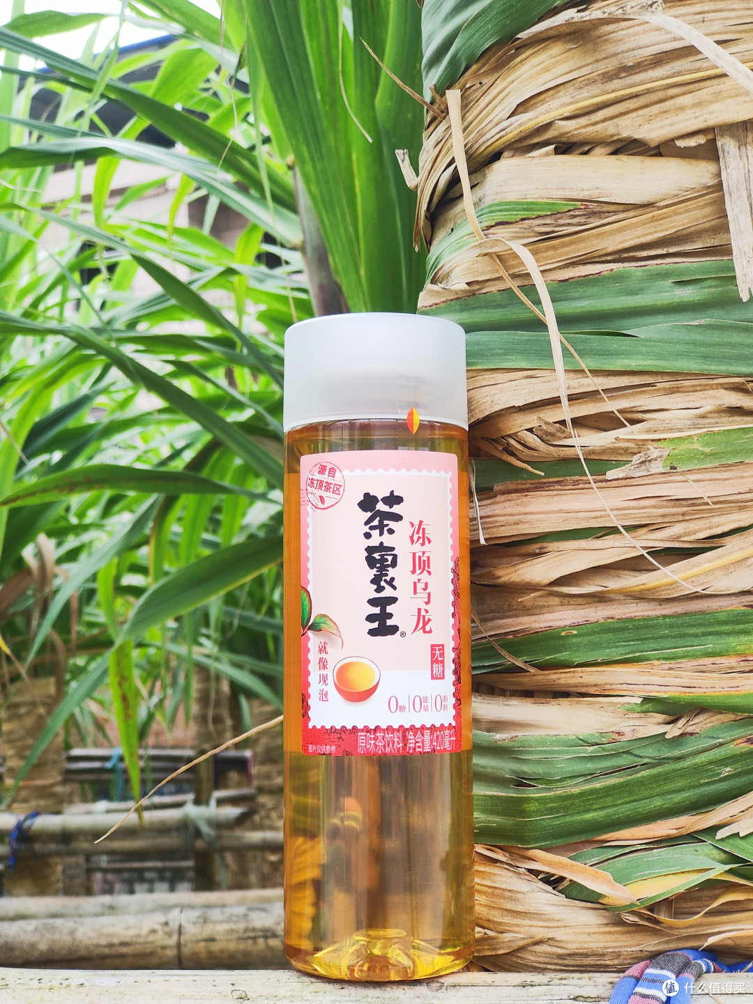 茶里王冻顶乌龙茶香浓郁口感醇厚