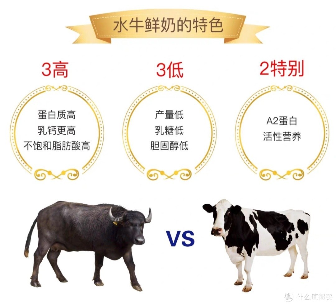 双11种草推荐：华中农业大学——劲牛·八福来水牛奶