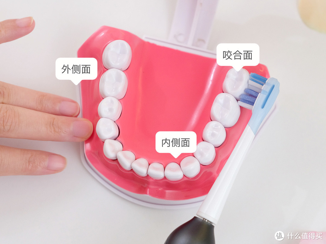 让牙齿问题看得见，明明白白去刷牙！usmile笑容加双面屏电动牙刷F10 PRO使用体验