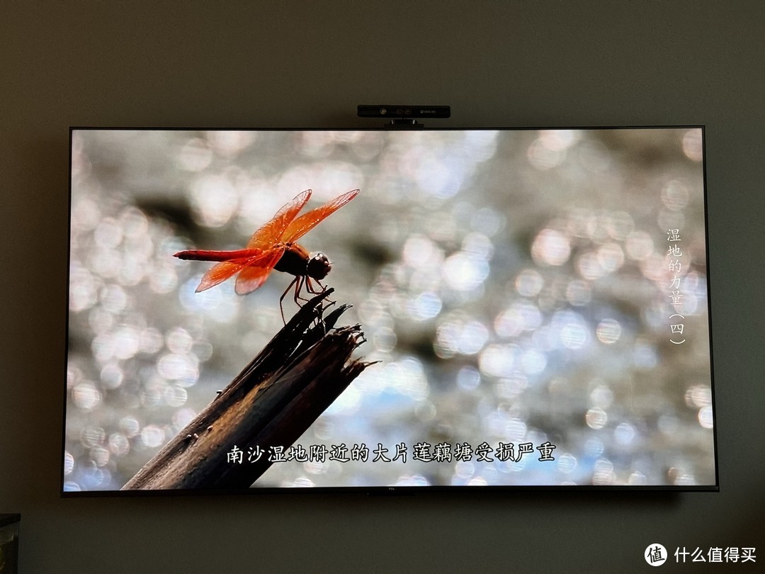 TCL85英寸QLED量子点4K超清全面屏电视使用测评