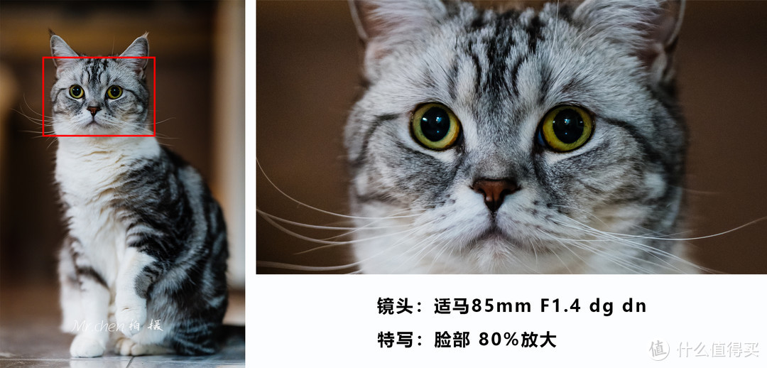 85mm f1.4 dg dn 原图和脸部特写