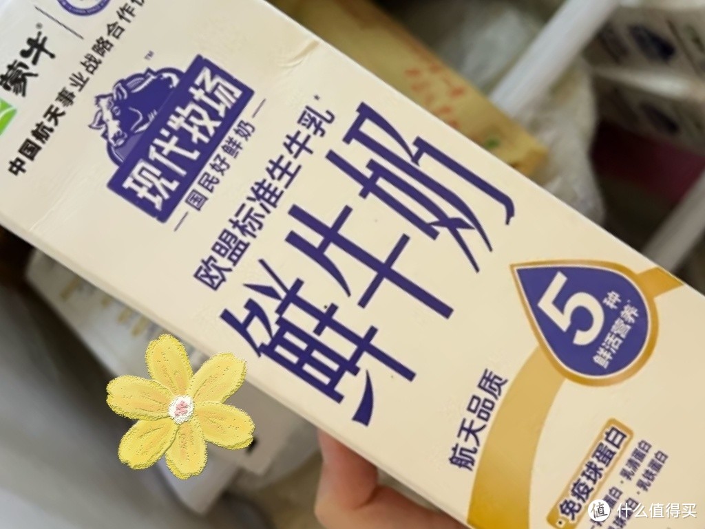 蒙牛现代牧场 鲜牛奶