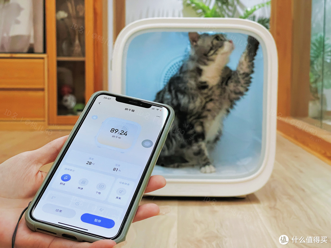 Catlink 智能烘干箱，高端的配置价格仅千元，不来了解一下？