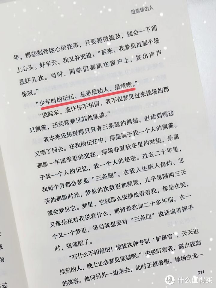 放弃过程中的纠缠，追求美好的结果—《追熊猫的人》