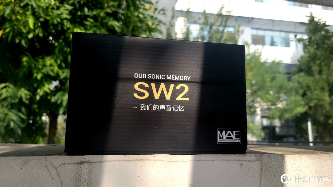 「双十一推荐」风格强烈的千元耳机-声音记忆SW2