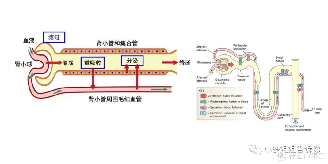 图源网络侵删