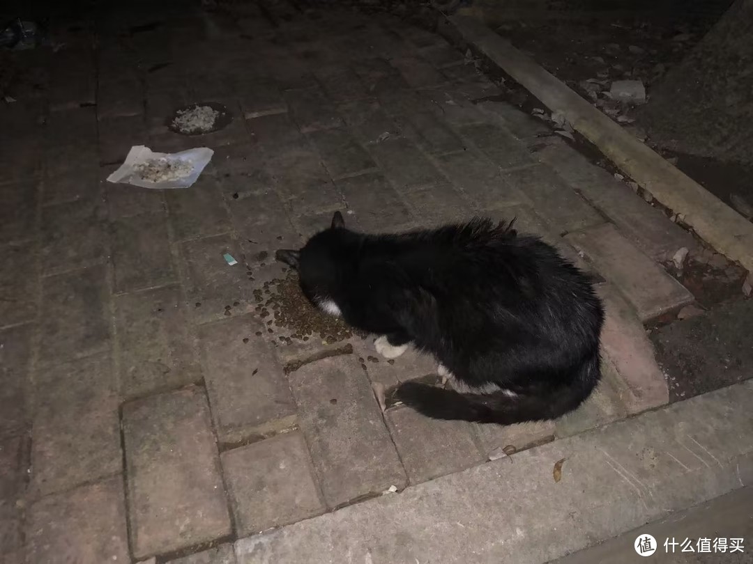 猫粮分析丨麦富迪乳铁蛋白成猫粮怎么样？