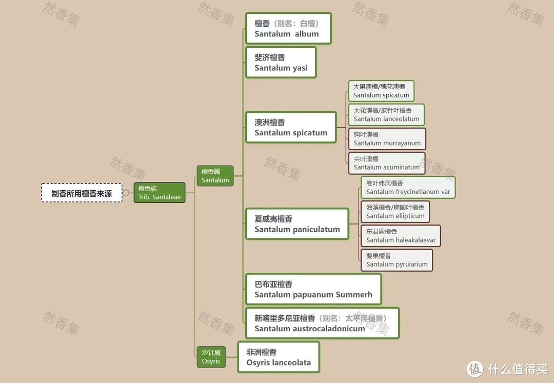 檀香分类