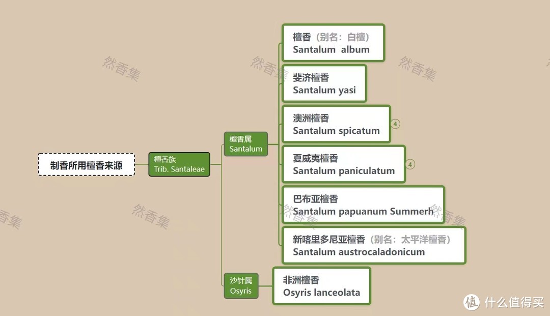 檀香分类