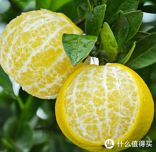 秋季吃皇帝柑橘，让你轻松摆脱干燥肌肤!