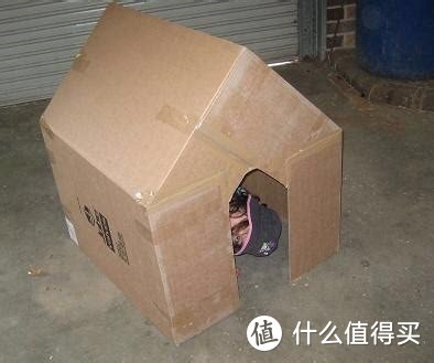 养宠物家庭必备物品清单（2）