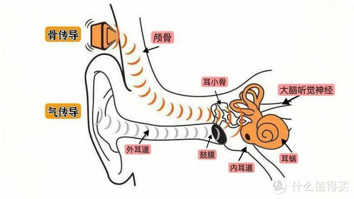 2023年最适合多场景和久戴的蓝牙耳机推荐！||骨聆SS900耳夹式骨传导蓝牙耳机实测