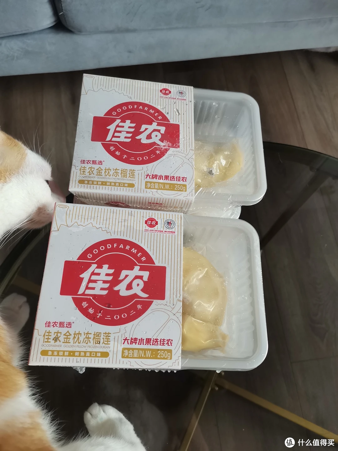 终于可以翘着小猫脚，慢慢吃佳农榴莲