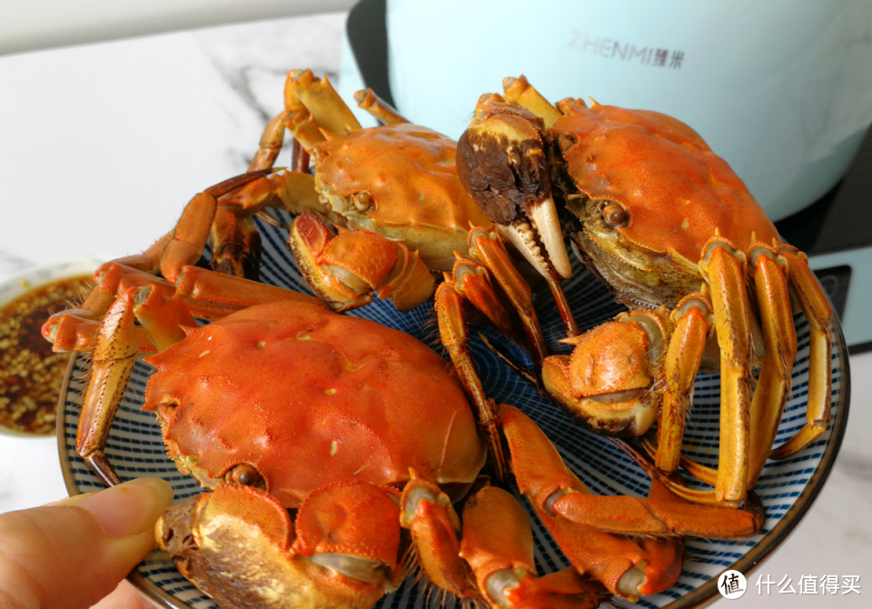 英国科学家：禁止蒸煮活螃蟹，要先电晕，中国网友：油炸可以吗？