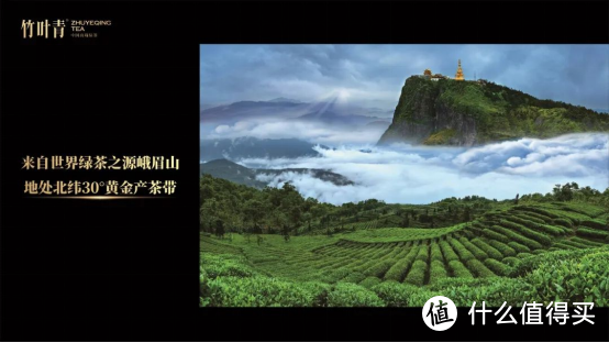 全球茶界顶级盛会成功举行，竹叶青为中国茶再添国际殊荣