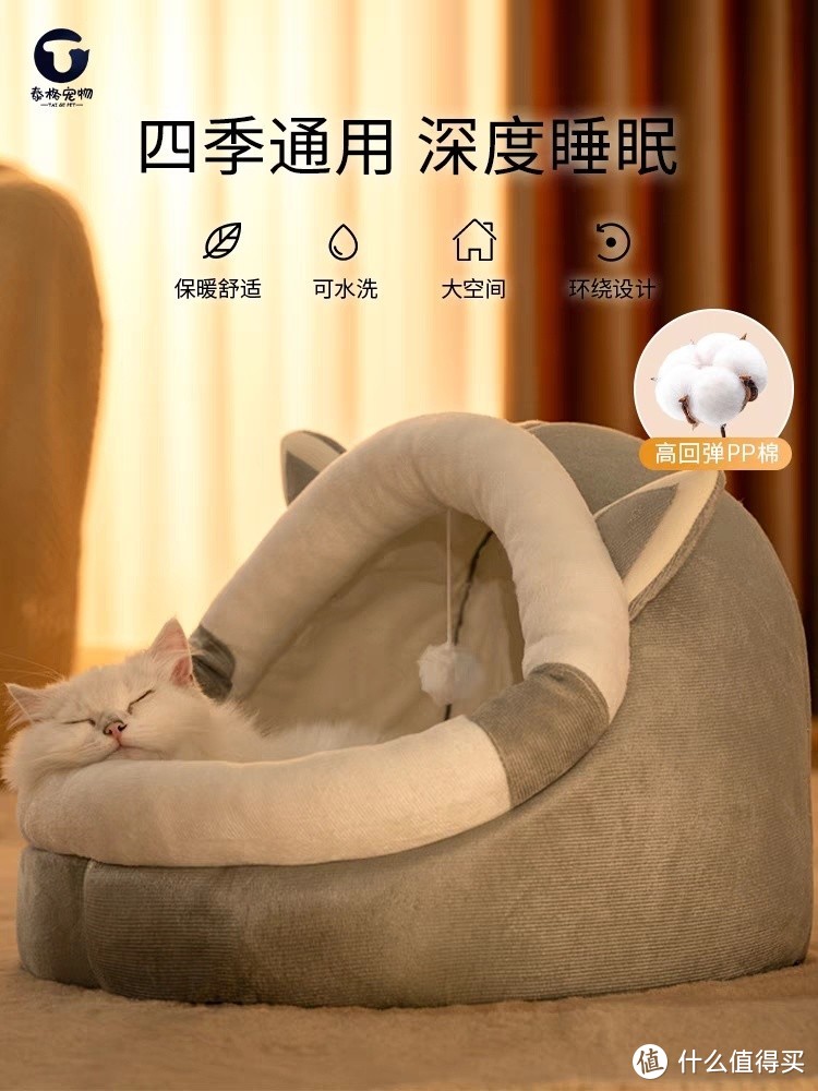 南方的猫猫怎么过冬呢？