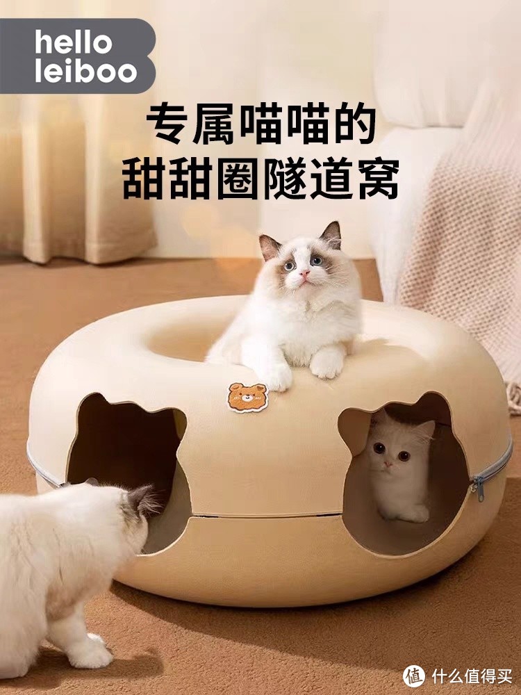 南方的猫猫怎么过冬呢？