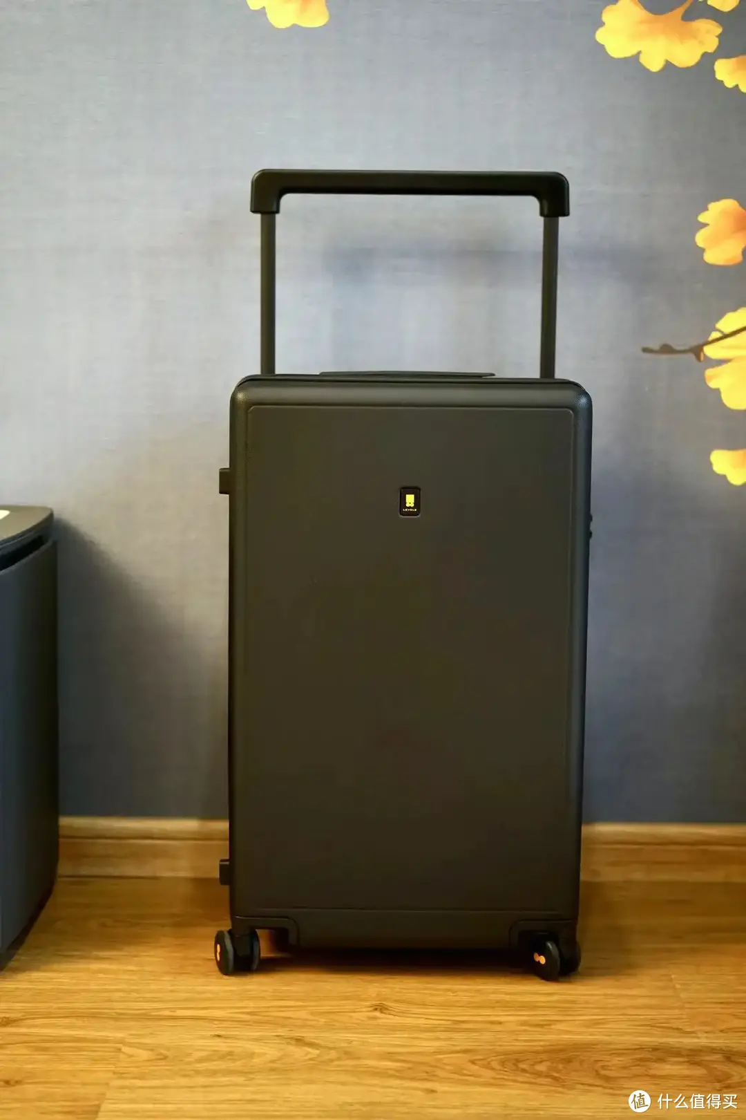 今年双十一冲了两个地平线8号大旅行家26寸行李箱，一家四口搬家式旅行必备。