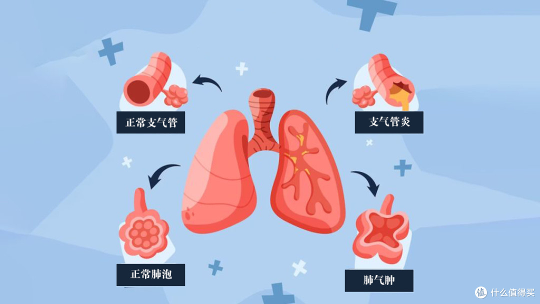 今天是 篇十:世界慢阻肺日(11月第三个周三)_医用口罩_什么值得买
