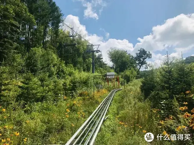 推荐一个适合周末亲子游的目的地--长白山