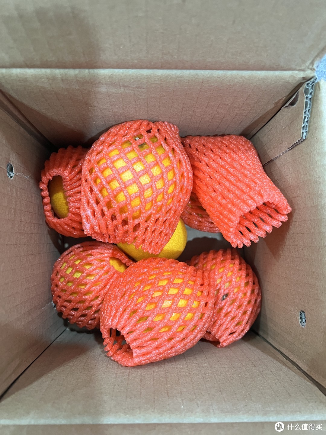 今年冬天的第一份果冻橙，爱媛38号