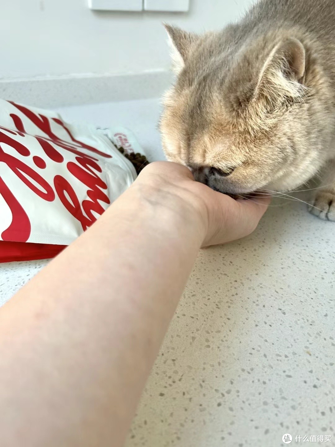 猫咪爱吃的口粮