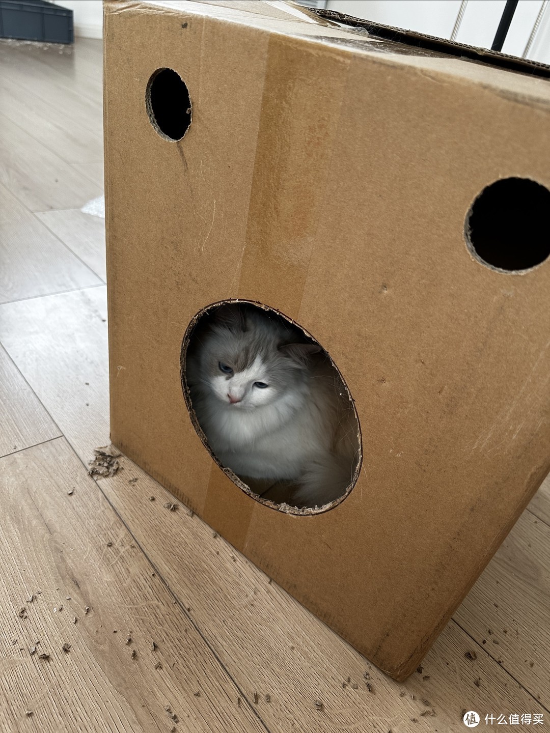 一个开孔器，让猫主子实现了纸箱猫窝自由