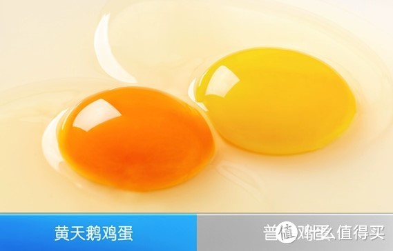 黄天鹅鸡蛋：安全美味的溏心蛋体验