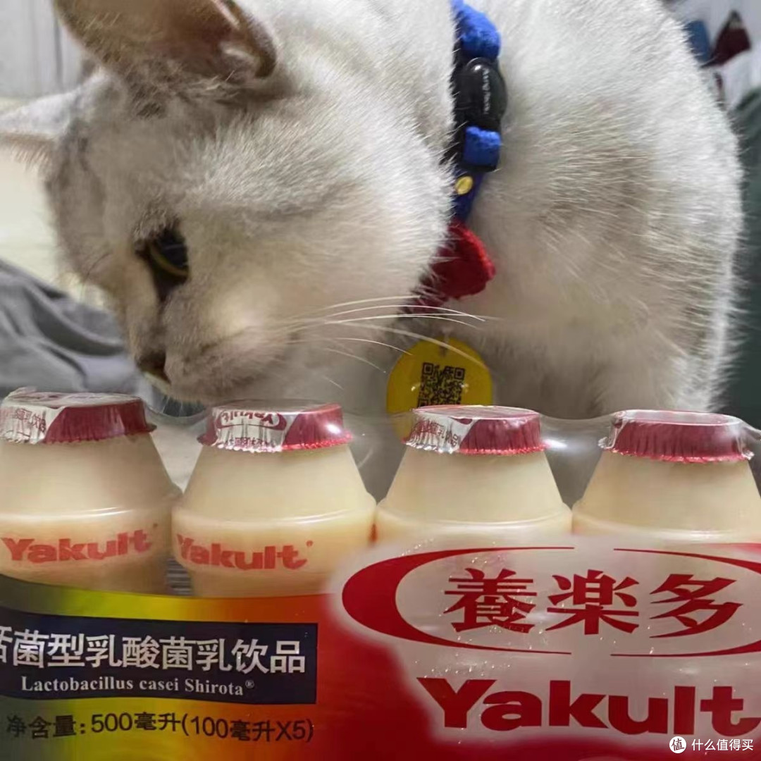 告别肠胃困扰,养乐多助你重获健康_饮料_什么值得买