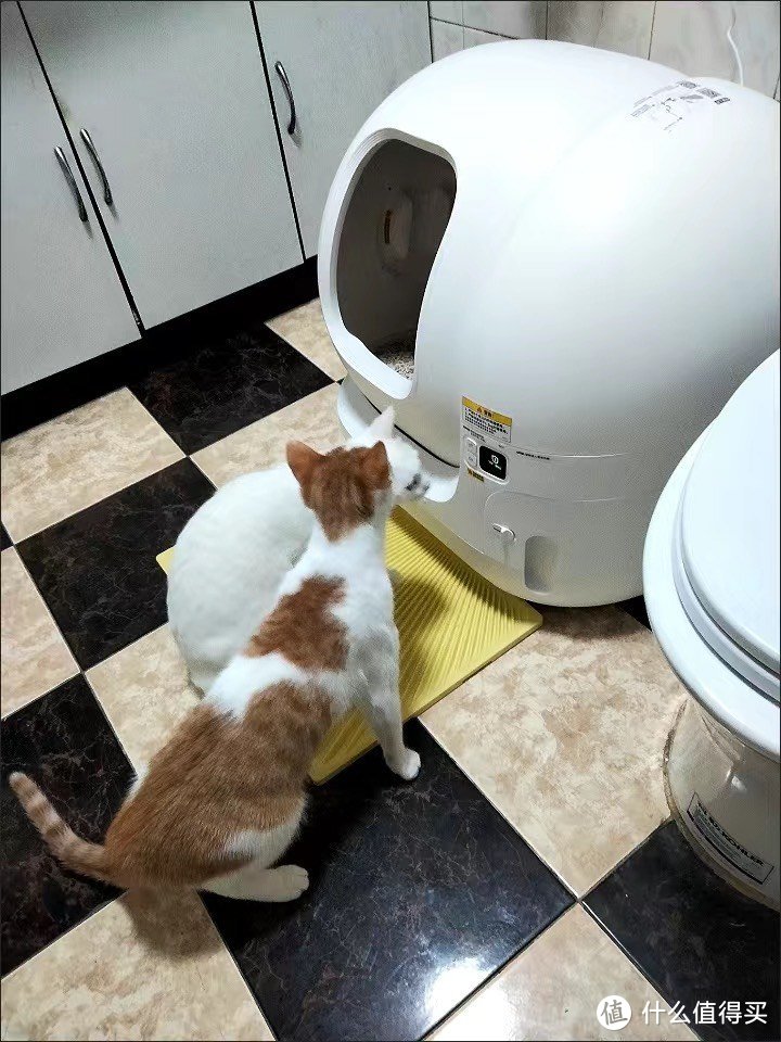 1 小佩智能猫厕所MAX全自动猫砂盆超大号电动全封闭猫咪用品防外溅