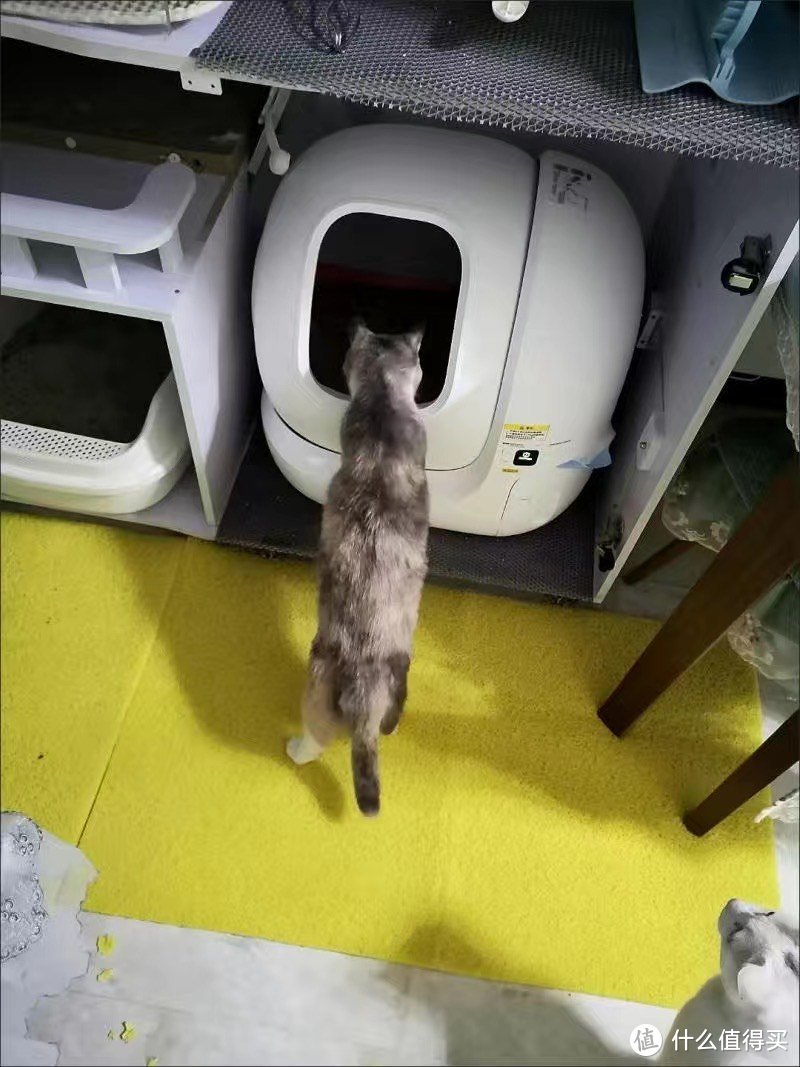 2 小佩智能猫厕所MAX全自动猫砂盆超大号电动全封闭猫咪用品防外溅