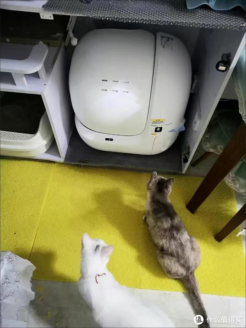 2 小佩智能猫厕所MAX全自动猫砂盆超大号电动全封闭猫咪用品防外溅