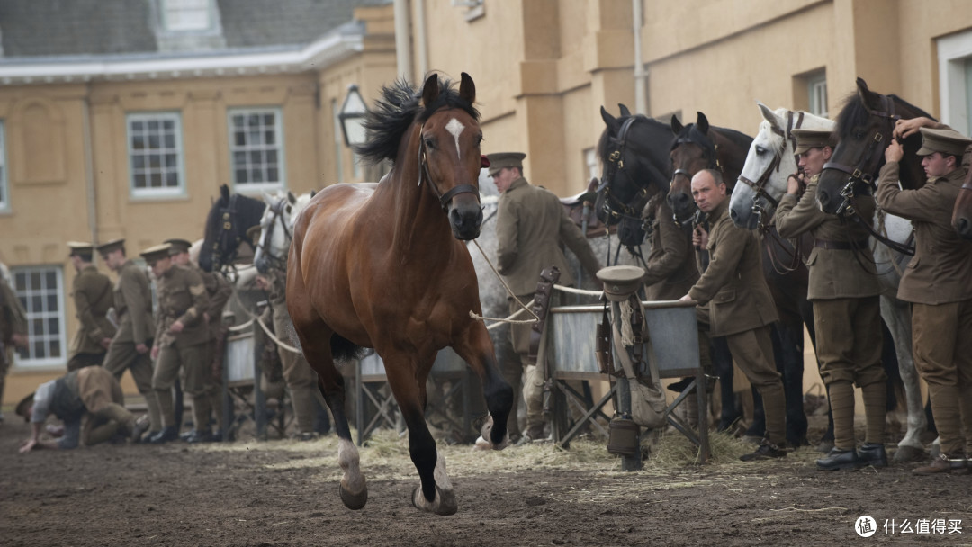 战马(一战 西线战场)