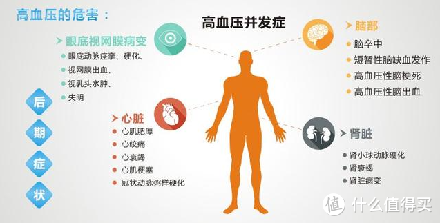 兄弟们你们可能不信，我的通勤背包里有个心电血压计