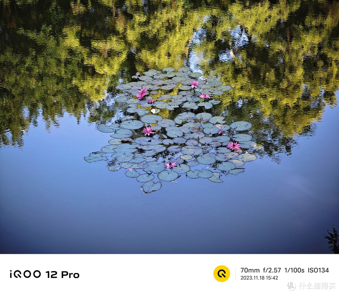 iQOO 12 Pro:又一款iQOO数字系列旗舰，水桶机？影像体验好吗？浅聊「我觉得」背后的意义