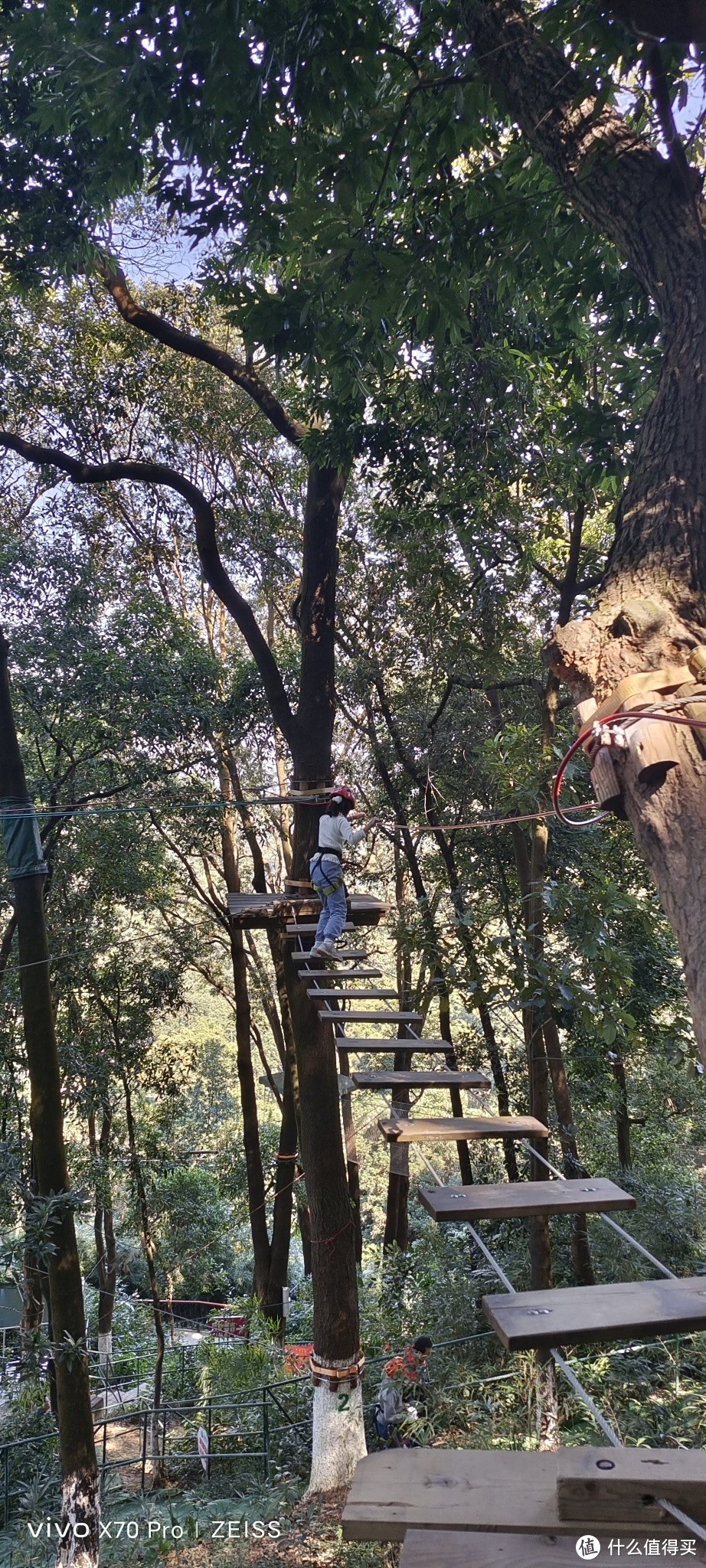 培养丛林生存能力——广州遛娃好去处：天鹿湖森林公园飞越丛林