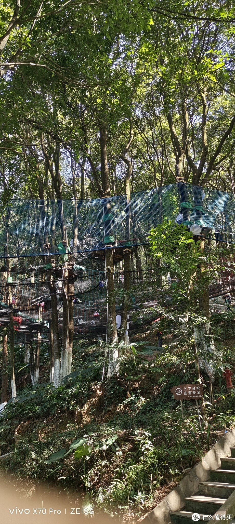 培养丛林生存能力——广州遛娃好去处：天鹿湖森林公园飞越丛林
