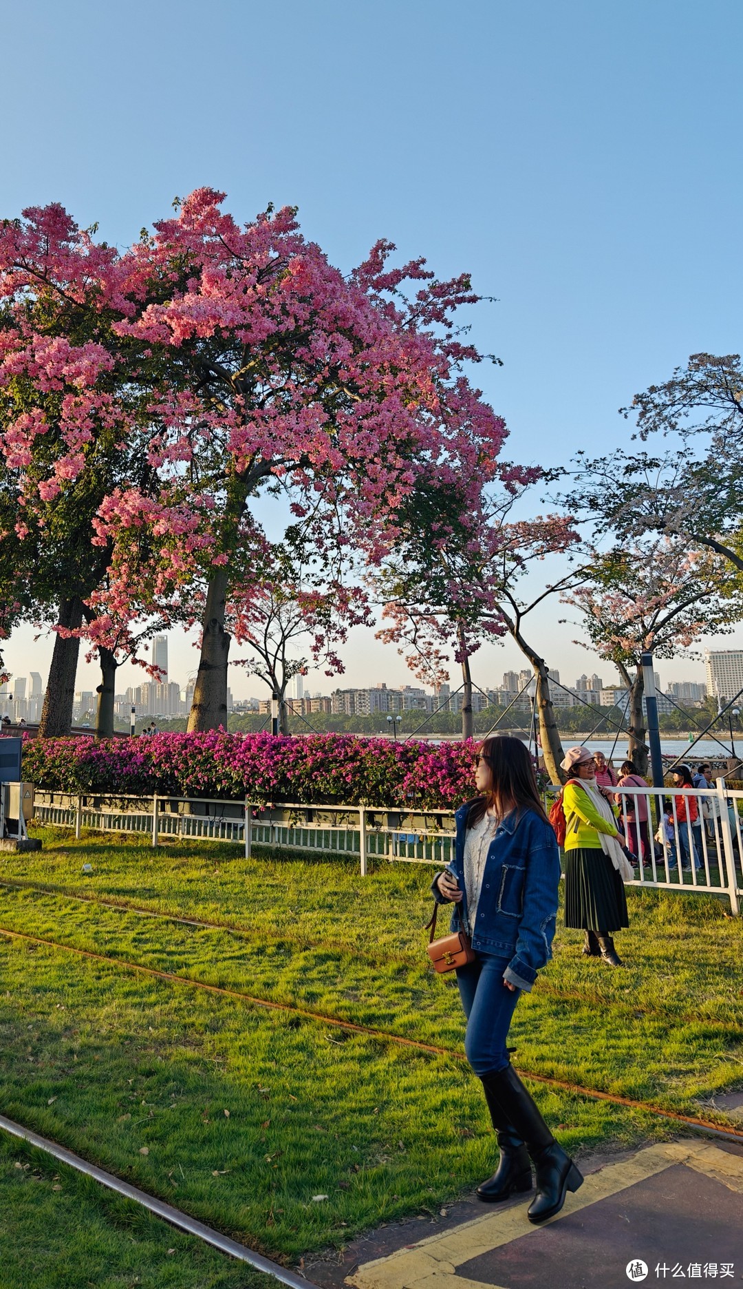 忽如一夜秋风来，千树万树正开花（秋天广州拍花打卡攻略）