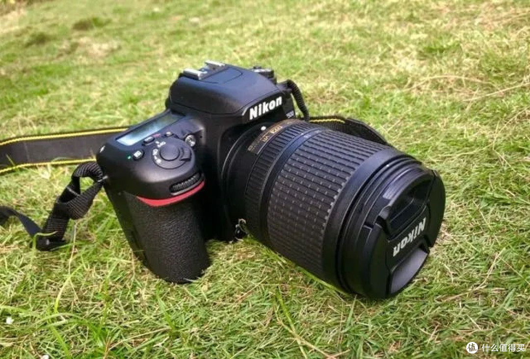 尼康入门级单反哪款好？盘点尼康相机性价比之王