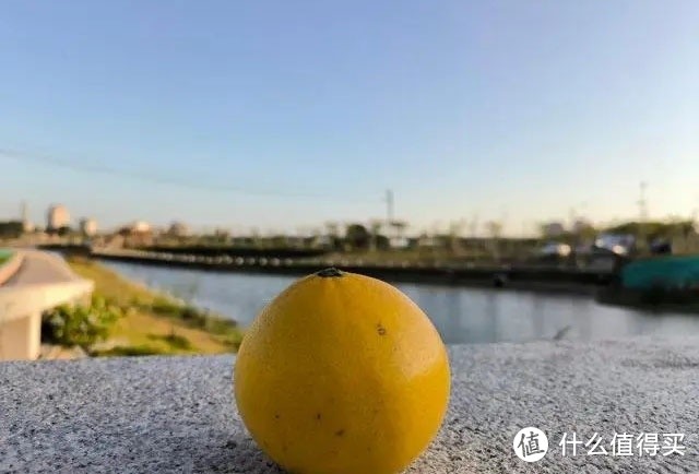 尼康入门级单反哪款好？盘点尼康相机性价比之王