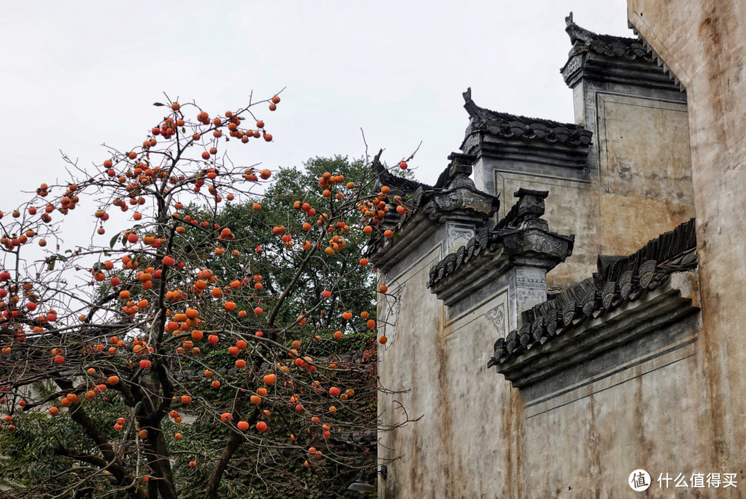 现在去时间刚好！赏秋目的地怎能少了它？杭州出发高铁1.5h，藏着中国最绚丽的秋色