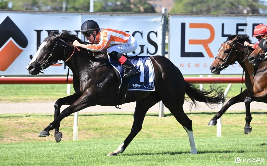 比赛中,我们期待更多的名门驹能够续写他们的辉煌,我们也期待赛马运动