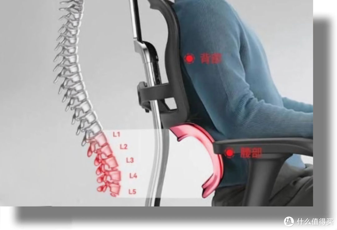 开团 | 终于来了！高性价比人体工学椅选购指南，歌德利V1 6代人体工学椅我想反复推荐！