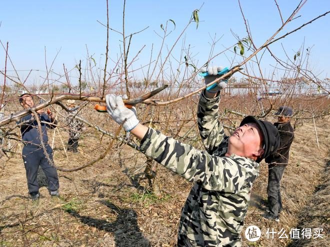 明日小雪，不论多忙，别忘老传统“做5事”，踏实过冬啥也不愁