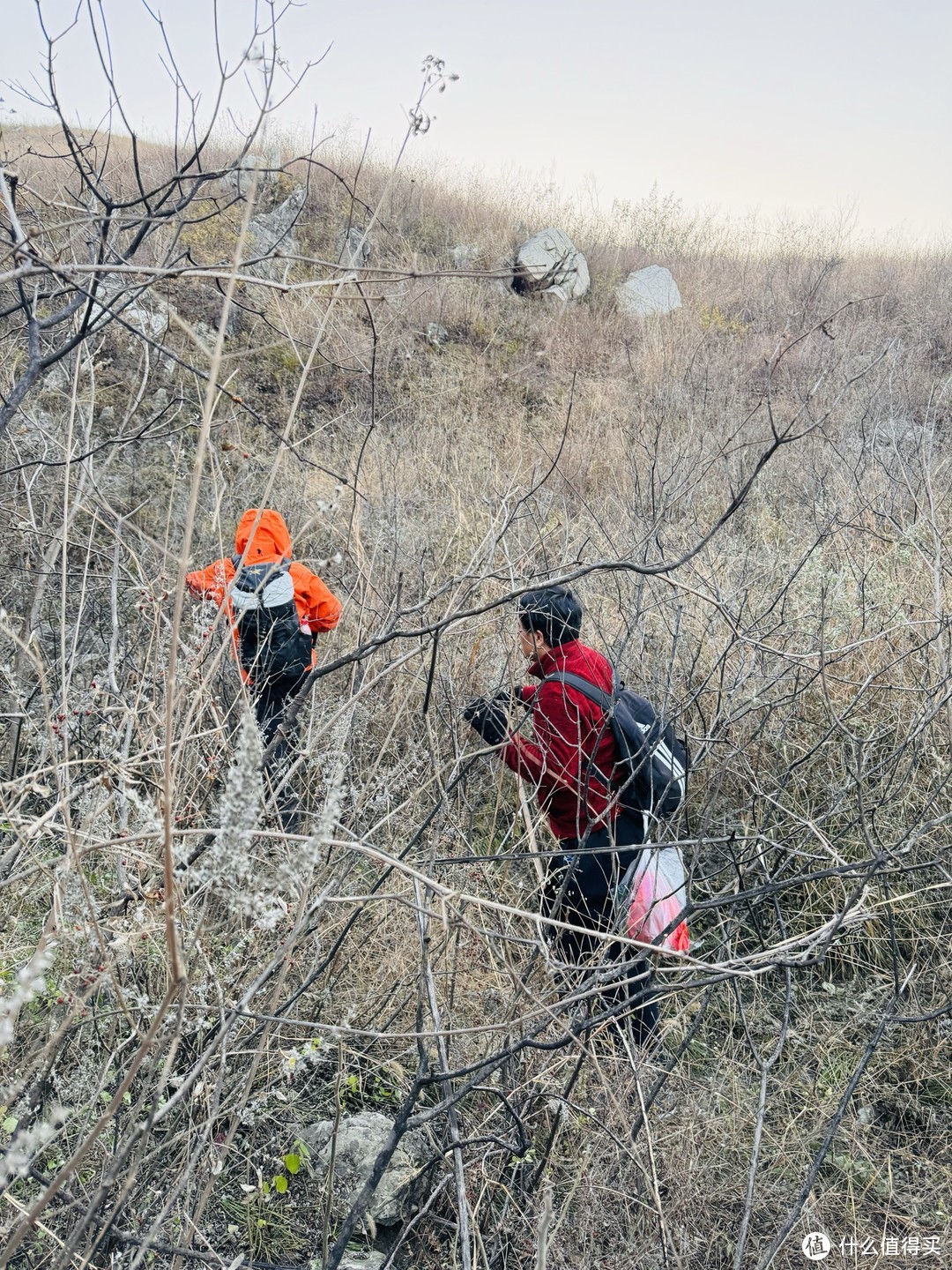 没人疼就去爬山吧，爬完浑身疼，野外徒步好物推荐