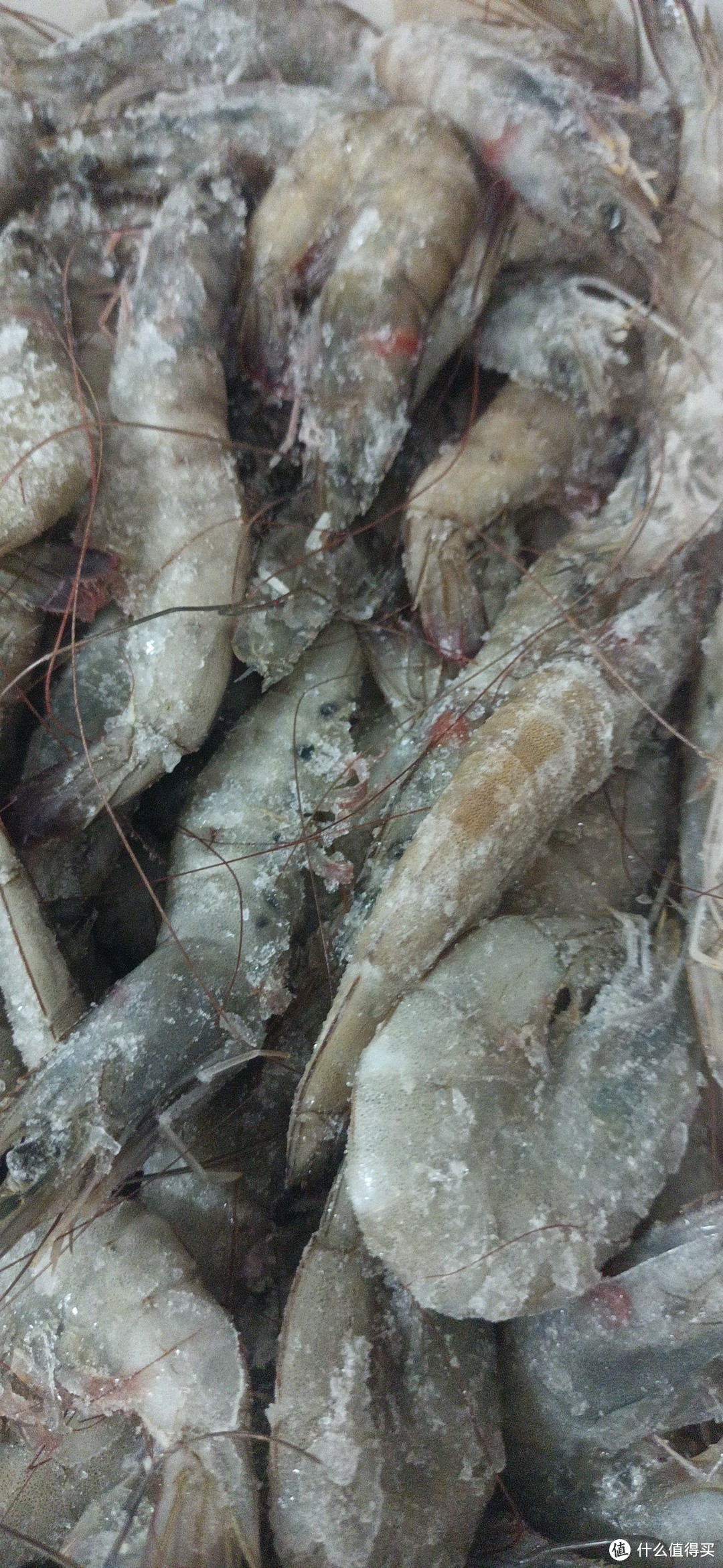 这样的厄瓜多尔白虾，你敢吃，但是。京东服务，没得说，真棒！